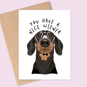 Cheeky Dachshund Anniversary/Valentines Day Card - You Have A Nice Wiener - Handmade - A6 - Printed on Matt, Textured Card - Recyclable