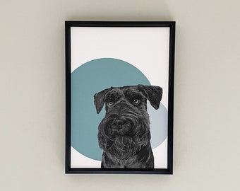 Schnauzer Dog drawing A4 print, Miniature Black Schnauzer portrait - fine art dog print - Black Schnauzer gift - Colour Blocking