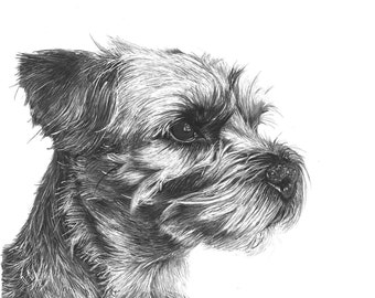 Custom Pet Portrait, Art Commission, Original Hand Drawn Pen and Ink drawing, Personalised, Drawing from photograph