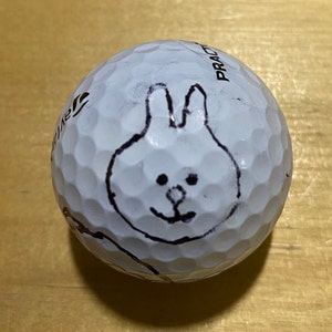 Line Friends Stencil per la marcatura di cony e palline da golf marroni - Stampato in 3D