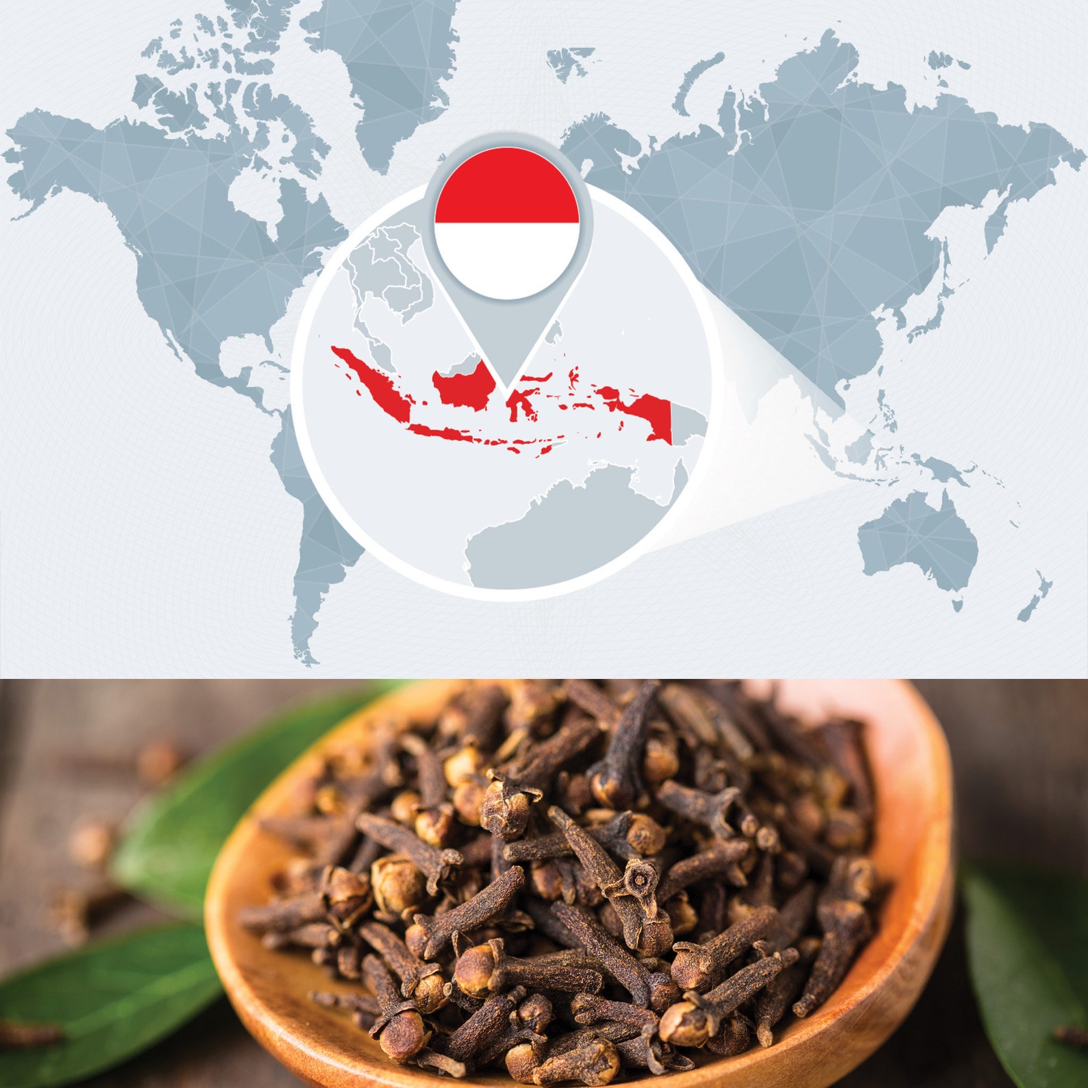 Bulk Clove Essential Oil 100 Pure & Undiluted Therapeutic Grade High