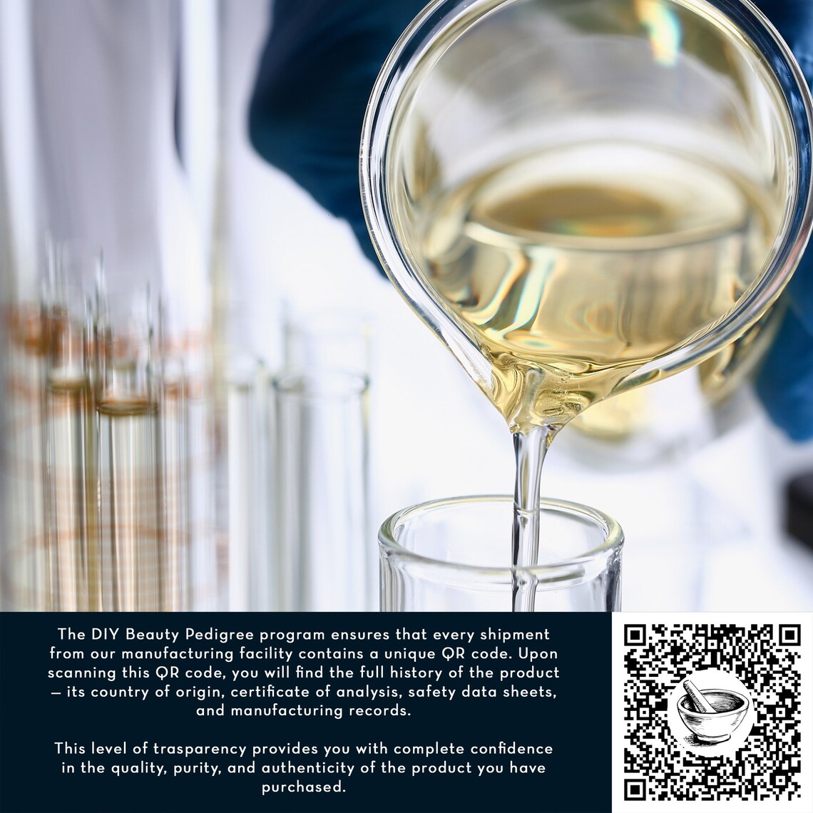 Bulk Clove Essential Oil 100 Pure & Undiluted Therapeutic Grade High