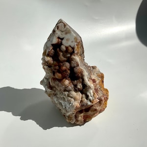 Dentelle mexicaine Agate croissance botryoïde brute forme libre avec pointe polie