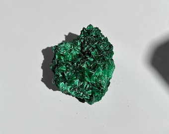 Small Malachite Cluster Lovely Green and Flashy Feather Sheen