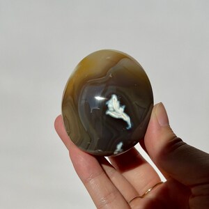 May include: A polished, oval-shaped agate stone with a mix of brown, gray, and white colors. The stone has a smooth surface and a unique pattern, with a white, leaf-like inclusion. The agate is held in a hand.