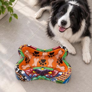 May include: A bone-shaped ceramic pet bowl featuring a vibrant orange interior decorated with light pink bone shapes and black paw prints. The exterior is adorned with a colorful, intricate floral pattern in shades of blue, green, red, and purple.