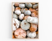 Fall Printable Wall Art, Thanks Giving Print, Pumpkin Print, Orange Fall Decor, Autumn Wall Art - DIGITAL DOWNLOAD