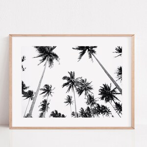 Black and White Beach Prints, Palm Tree Print, Black and White Wall Art, Boho Beach Wall Art, Black and White Coastal Wall Art