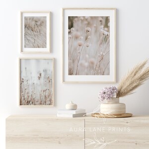 May include: Three framed prints of muted beige and brown wildflowers and grasses. The prints are arranged in a vertical row on a white wall. A vase with dried flowers sits on a wooden dresser with the text "Aura Lane Prints" on the front.