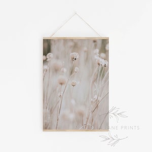 May include: A photograph of a field of dried, white wildflowers. The flowers are tall and slender, with delicate petals. The background is a soft, blurred, beige color.