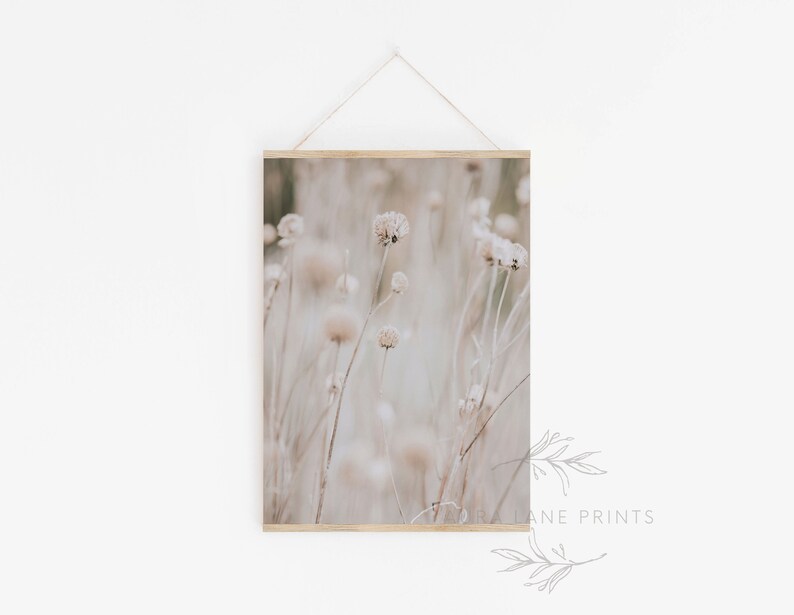 May include: A photograph of a field of dried, white wildflowers. The flowers are tall and slender, with delicate petals. The background is a soft, blurred, beige color.
