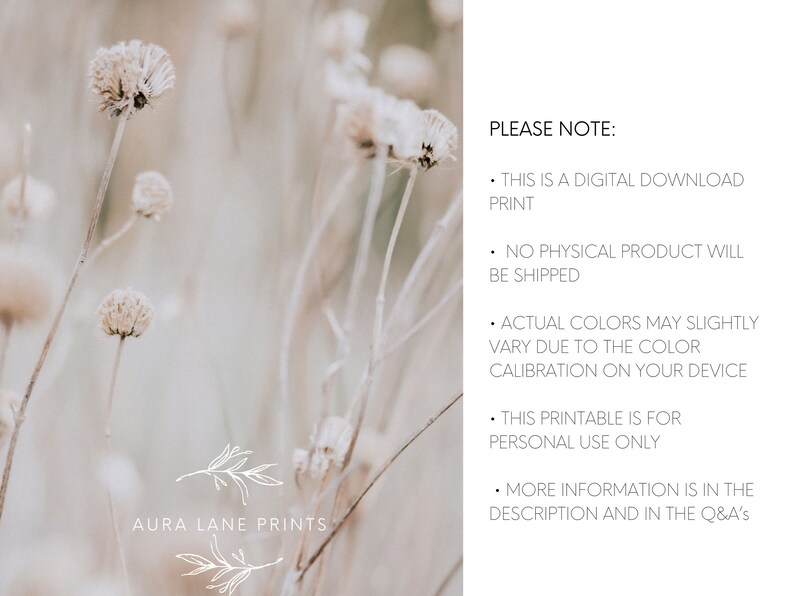 May include: A digital download print of a photograph of dried white flowers against a blurred background. The text "AURA LANE PRINTS" is at the bottom of the image. The text "PLEASE NOTE:" is on the right side of the image, followed by a list of five bullet points.