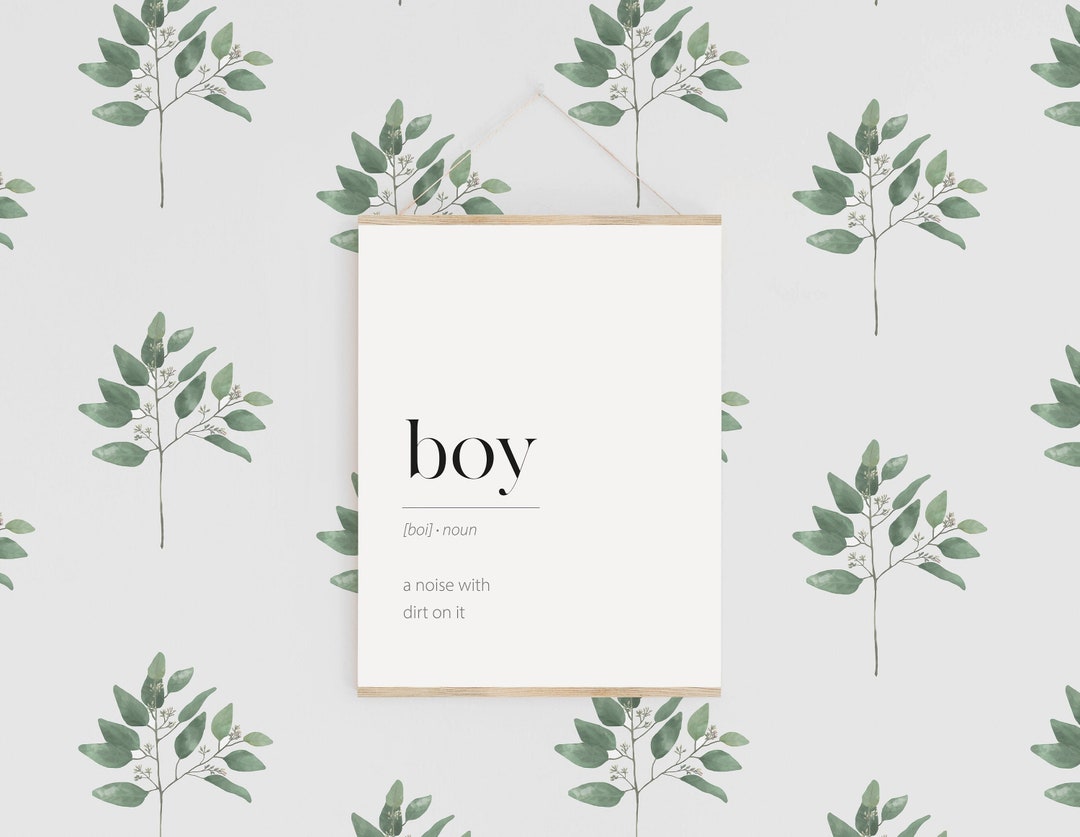 Boy Definition Print Boy Noun Printable Boy Nursery Print Etsy