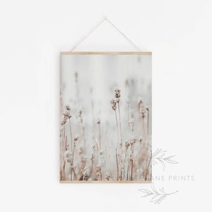 May include: A framed print of a field of dried, white flowers with a soft, blurred background. The flowers are in shades of brown and white, and the background is a light gray.