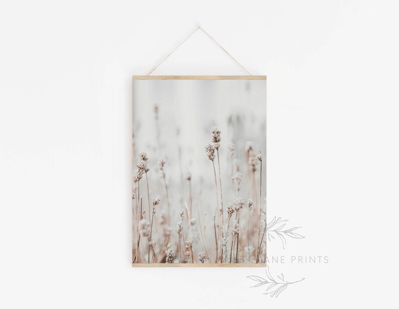 May include: A framed print of a field of dried, white flowers with a soft, blurred background. The flowers are in shades of brown and white, and the background is a light gray.