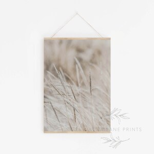 May include: A photograph of tall, feathery grasses in shades of beige and brown. The grasses are blurred and out of focus, creating a soft and dreamy effect.