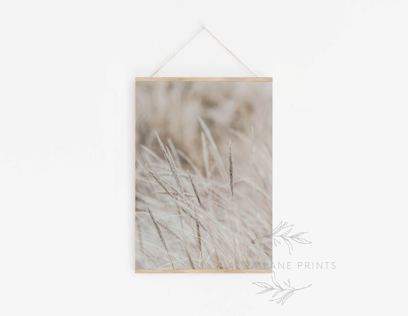 May include: A photograph of tall, feathery grasses in shades of beige and brown. The grasses are blurred and out of focus, creating a soft and dreamy effect.