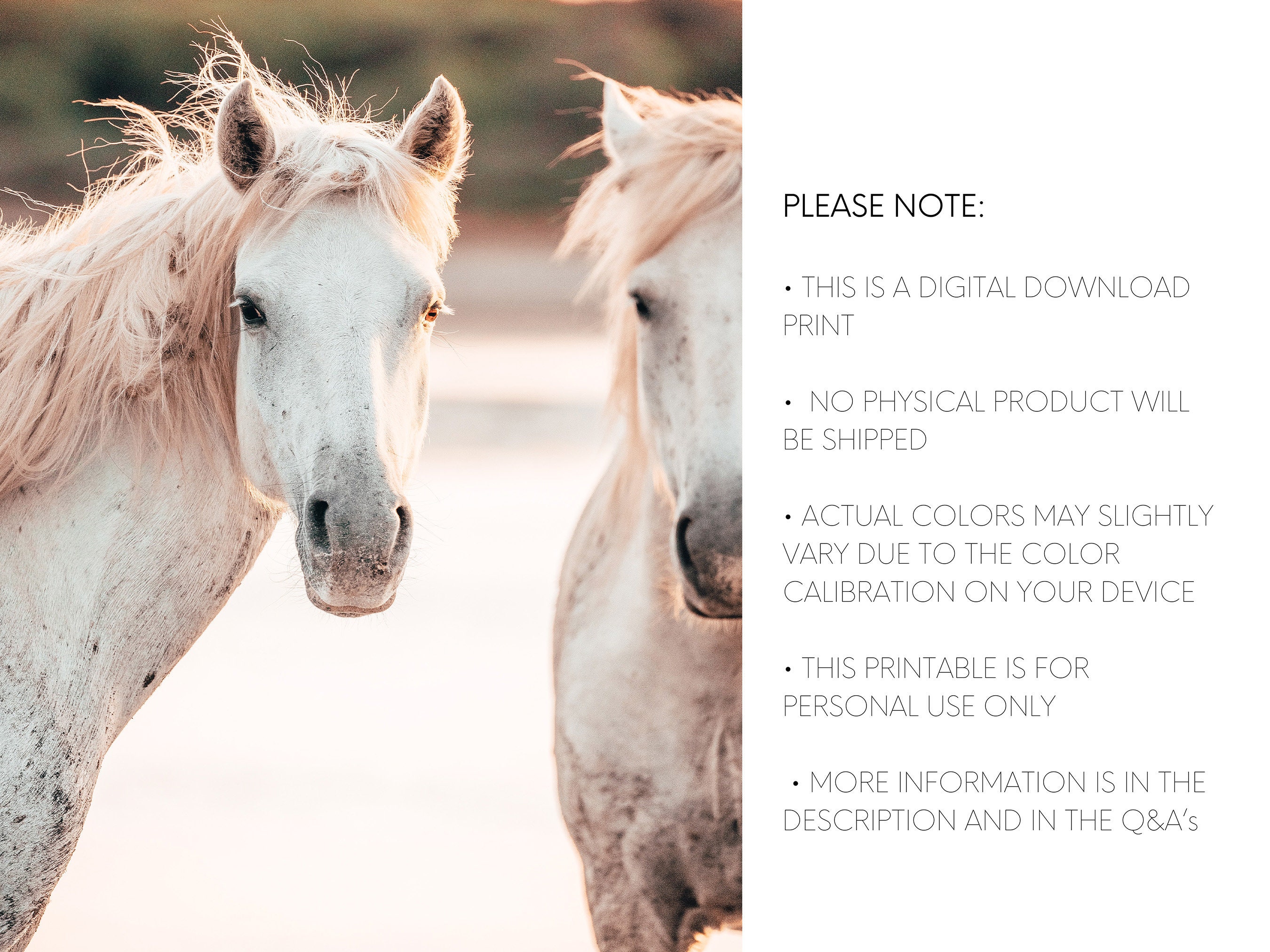 Horse Prints Farmhouse Decor Printable Wall Art Boho Wall - Etsy
