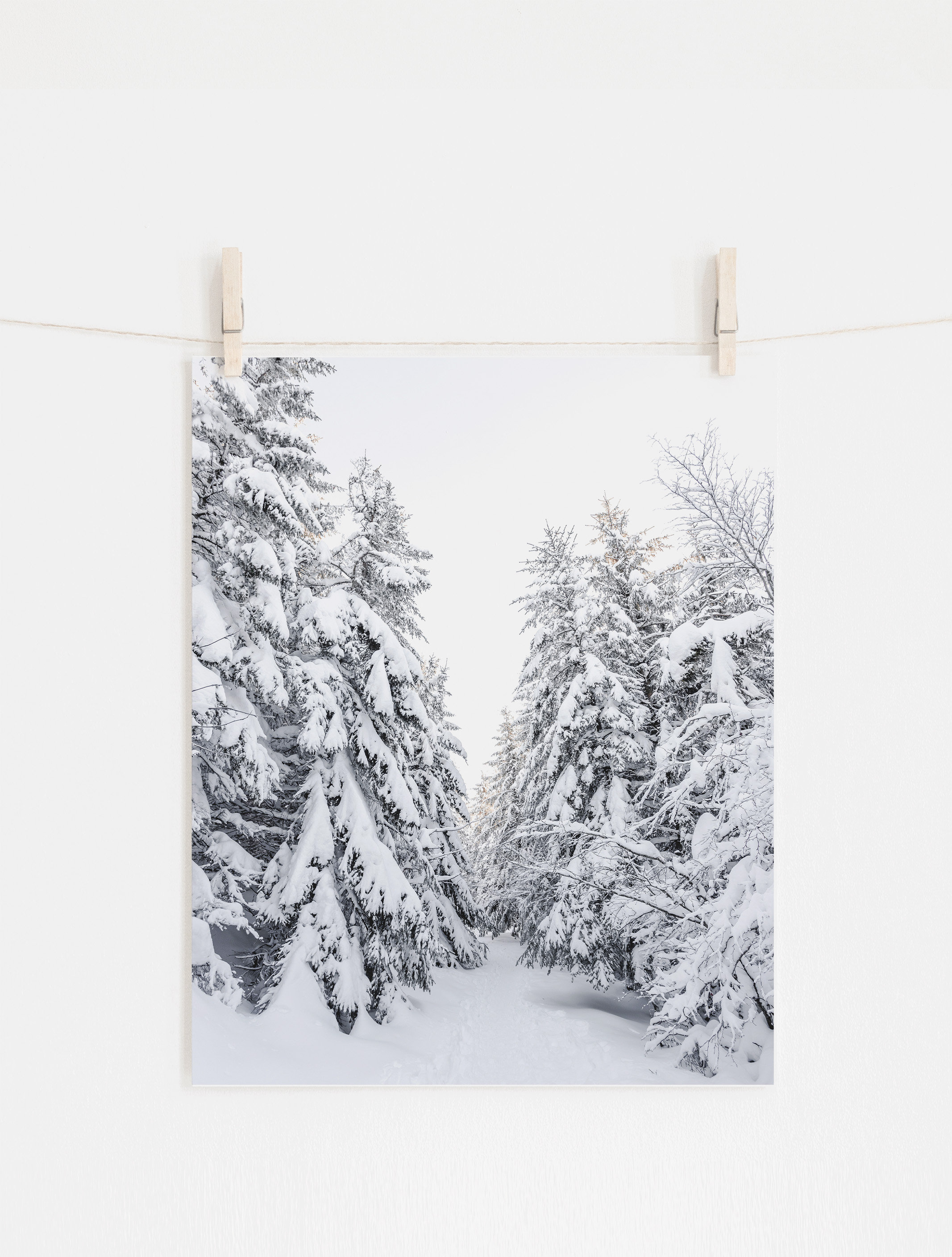 Winter Wonderland, Printable Set of 3, Christmas Gallery Wall Art ...