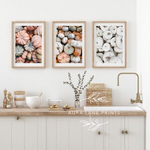 May include: Three framed prints featuring close-up images of pumpkins in various colors. The pumpkins range from pale pink and green to orange and white. The prints are displayed above a wooden countertop with kitchen accessories.