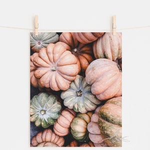 May include: A print featuring a collection of pumpkins in shades of orange, peach, and green. The pumpkins are arranged closely together, showcasing their textured surfaces and unique shapes. The print is held by a wooden clothespin on a string.