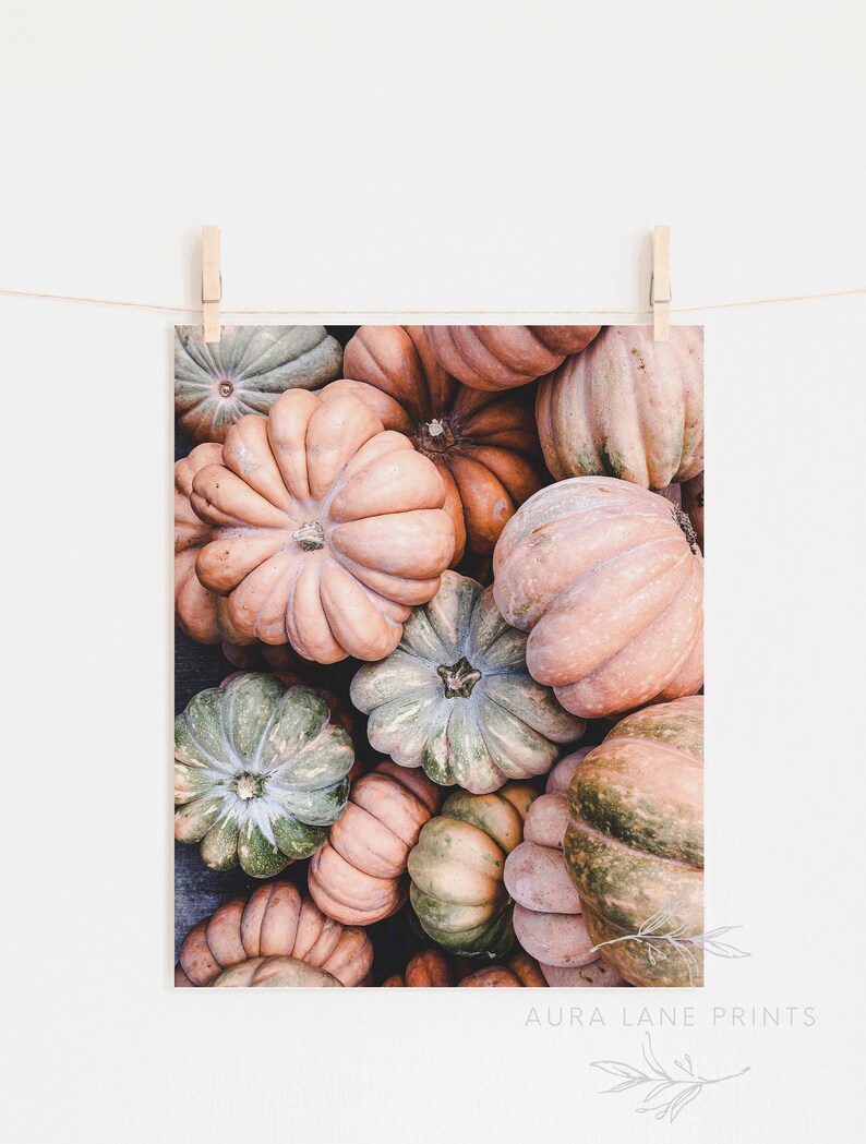 May include: A print featuring a collection of pumpkins in shades of orange, peach, and green. The pumpkins are arranged closely together, showcasing their textured surfaces and unique shapes. The print is held by a wooden clothespin on a string.