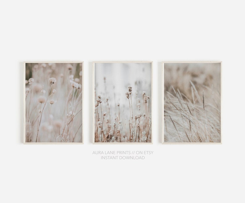 May include: Set of three printable art prints featuring close-up photographs of dried grasses and flowers in muted tones of beige and brown.