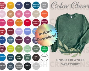sweatshirt color