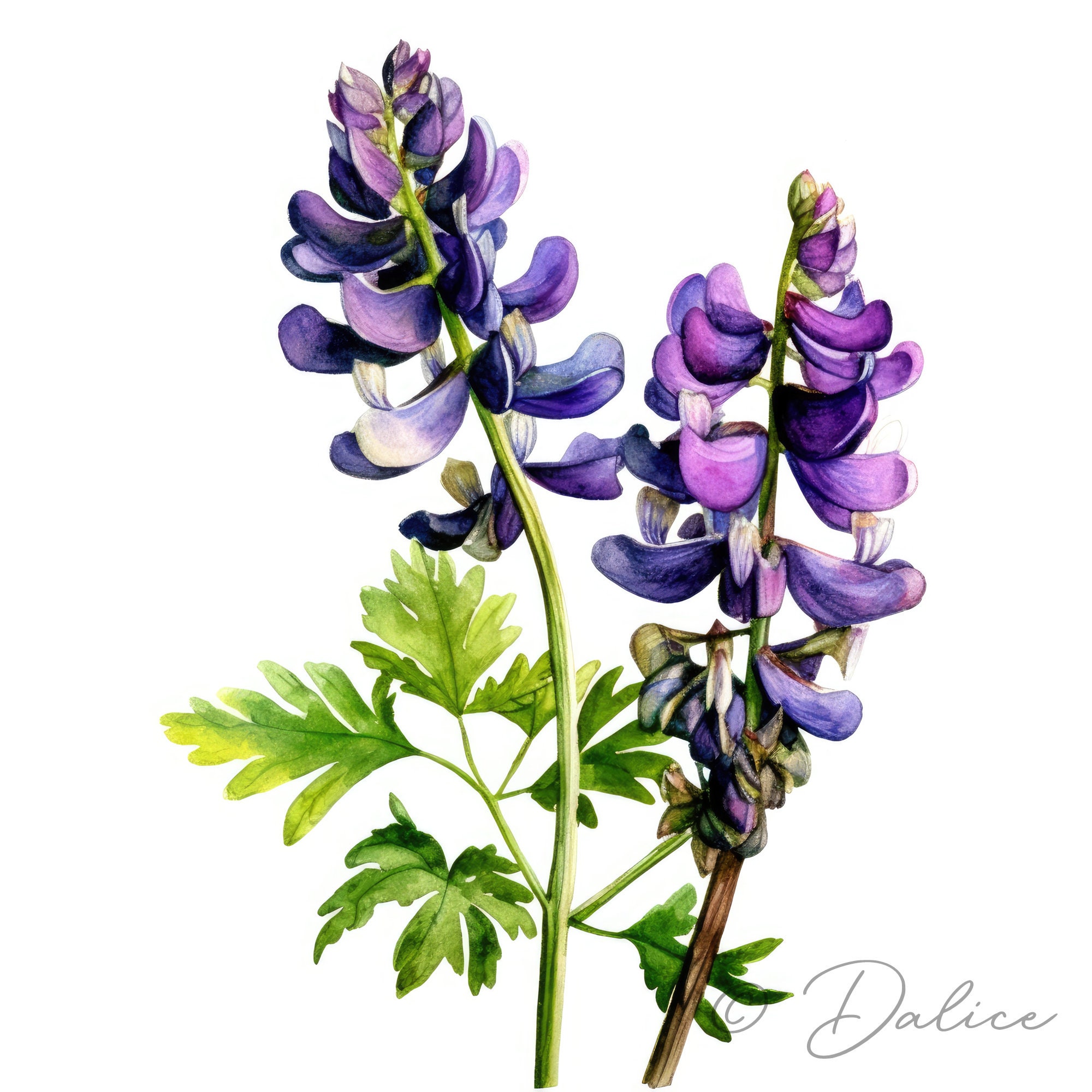 lupin-clip-art-12-high-quality-images-digital-planner-etsy
