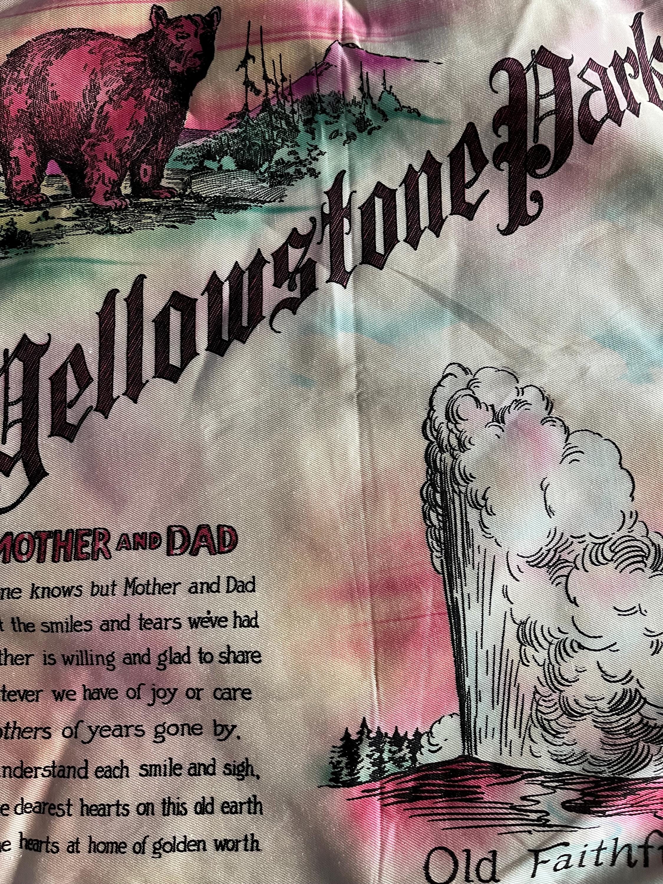 40’s〜50’s Souvenir pillow case Vintage 1940s 1950s Yellowstone Souvenir Pillow Cover Mother and