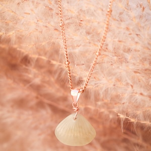 Op de afbeelding: Een delicate ketting van roosgoud met een klein, lichtgroen schelpje als hanger. De ketting hangt tegen een achtergrond van zacht, vederlicht pampasgras.