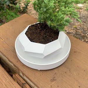 Jardinera suculenta de riego automático con diseño de bloque en espiral - Maceta de interior / exterior para suculentas, flores o hierbas -