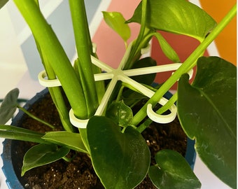8 Supporti Per Steli Di Piante Rampicanti | Tutori In Plastica Verde Misure Assortite 5-13 Cm | Per Orchidee, Pomodori, Peperoni