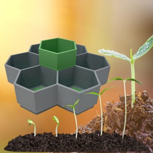 Honeycomb Seed Starter Tray Set | Self Watering Design with 6 Germination Trays | Reusable Tray for Vegetables, Flowers, Microgreens