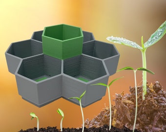 Honeycomb Seed Starter Tray Set | Self Watering Design with 6 Germination Trays | Reusable Tray for Vegetables, Flowers, Microgreens