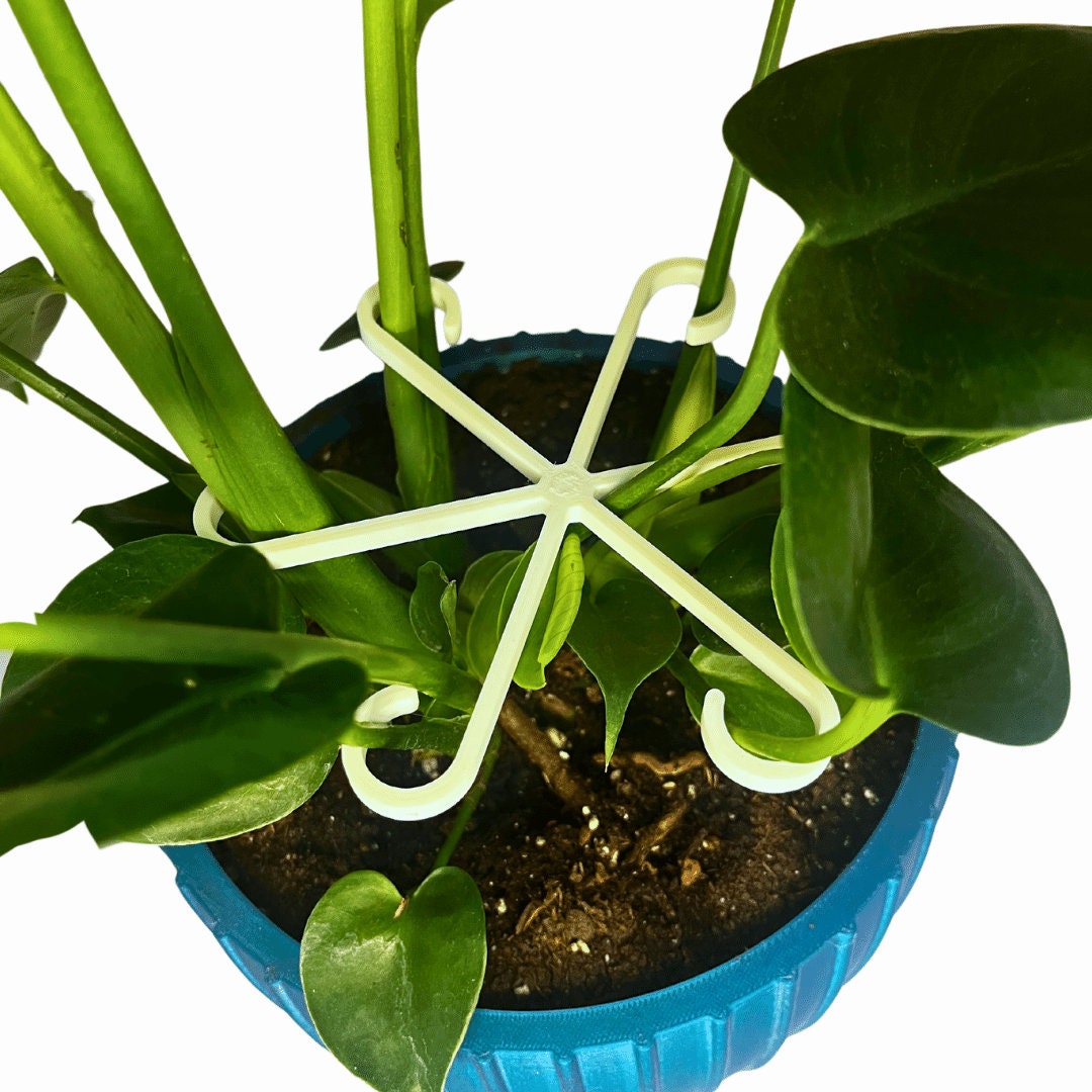 8 Supporti Per Piante Rampicanti In Plastica: Tutori Per Steli Di Fiori, Accessori Per Orchidee, Pomodori E Piante D'Appartamento - 3