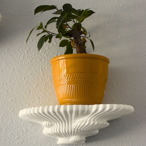 Chatelet Mushroom Floating Shelves | Decorative Mushroom Wall Decor