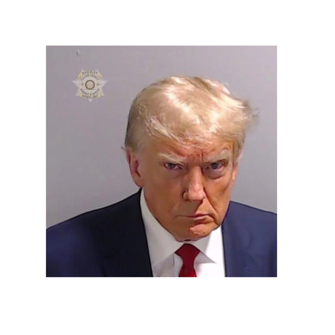 Trump Mug Shot Hard Hat Stickers – 4 Pack, 2" Circle Vinyl Decals For Helmets, Toolboxes, Bumpers - View #7