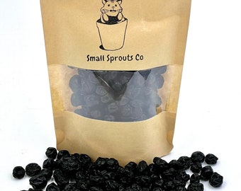 Organic Dried Blueberries Small Animal Hamster Treat Forage Topper