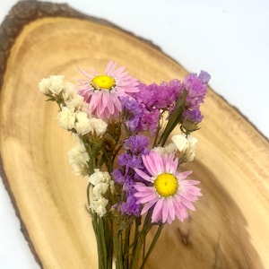 Sweetheart Symphony Bundle Flower Forage For Small Animals