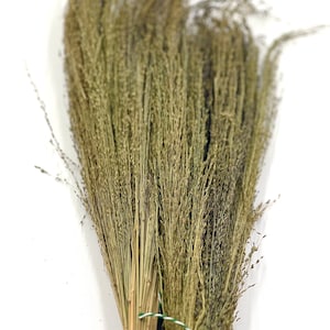 Hamster Organic Natural Pagima Green Spray Forage