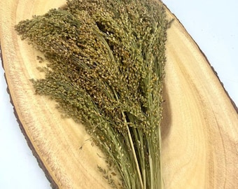 10g/20g/40g/100g Organic Panicle Millet Sprays for Hamsters and Other Small Animals