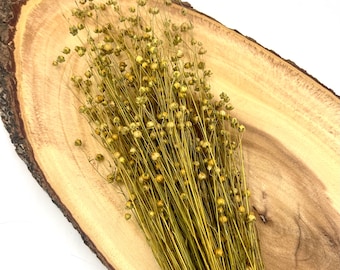 Hamster Organic Natural Flax Linseeds Spray Stalks Forage