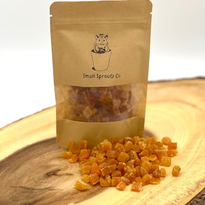 Dried Apricots Treats Foraging for Hamsters Small Animals