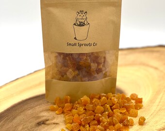 Dried Apricots Treats Foraging for Hamsters Small Animals