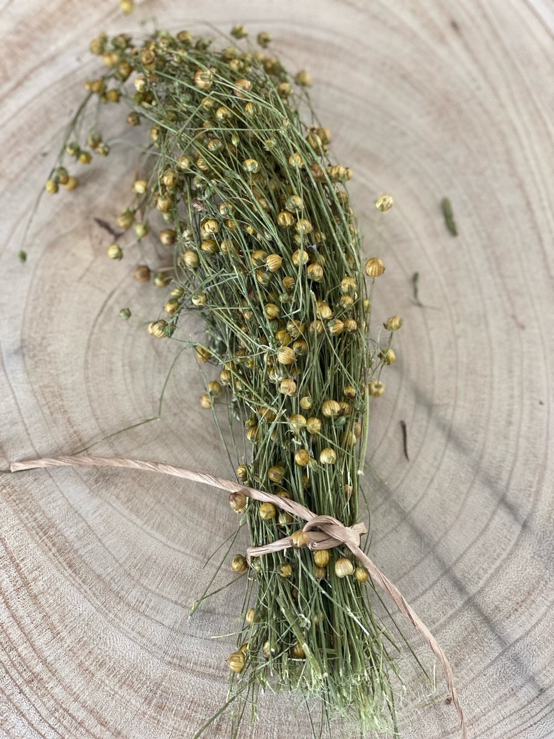 Hamster Organic Natural Flax Linseeds Spray Stalks Forage Etsy UK