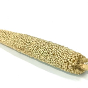 Organic Pearl Millet Sprays for Hamsters and Other Small Animals Birds