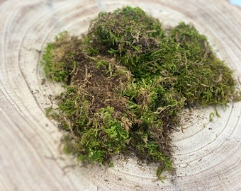 Natural Hamster moss fibres bedding organic decoration 25g