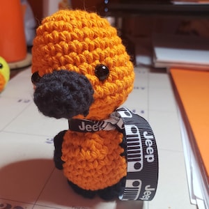 Jeep Duck