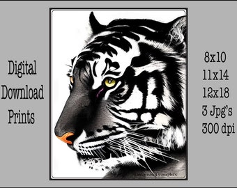 Abstract Tiger Print - Digital Download Prints - 8x10 - 11x14 - 12x18 - Digital Wall Art
